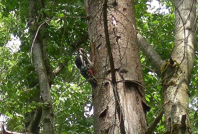 Uscita domenicale...